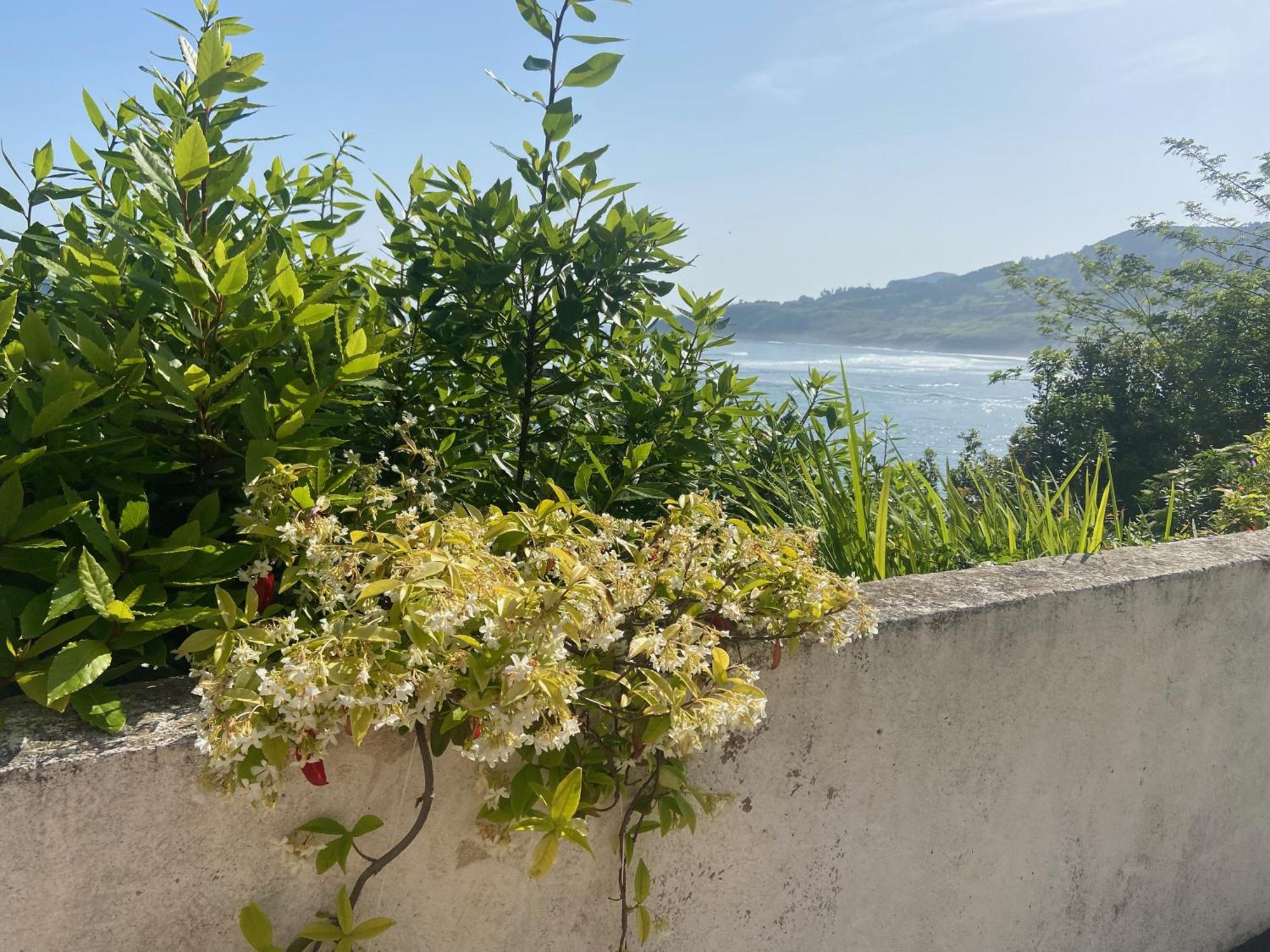 Mundaka Beachfront House Exteriör bild